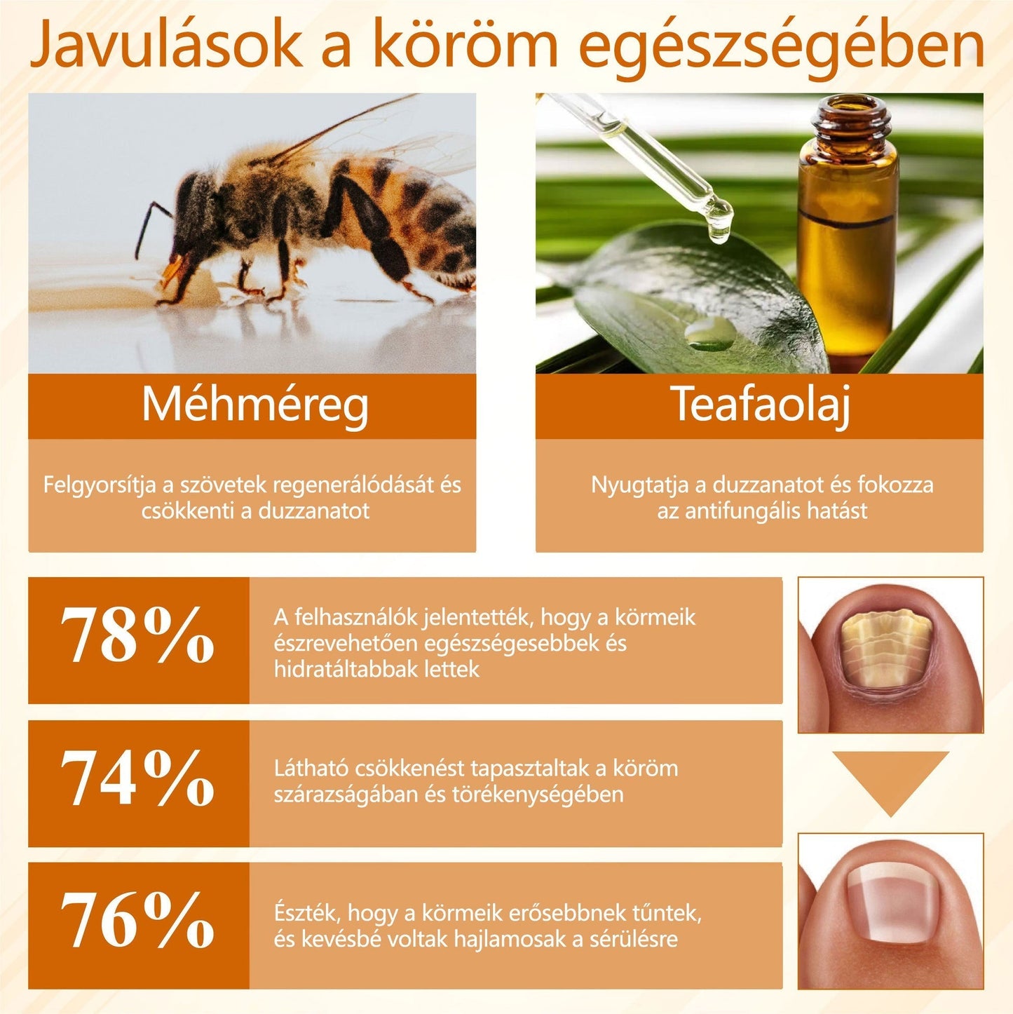 Croaie® Fungiclear Bee Therapy Nail Spray🎁🎁